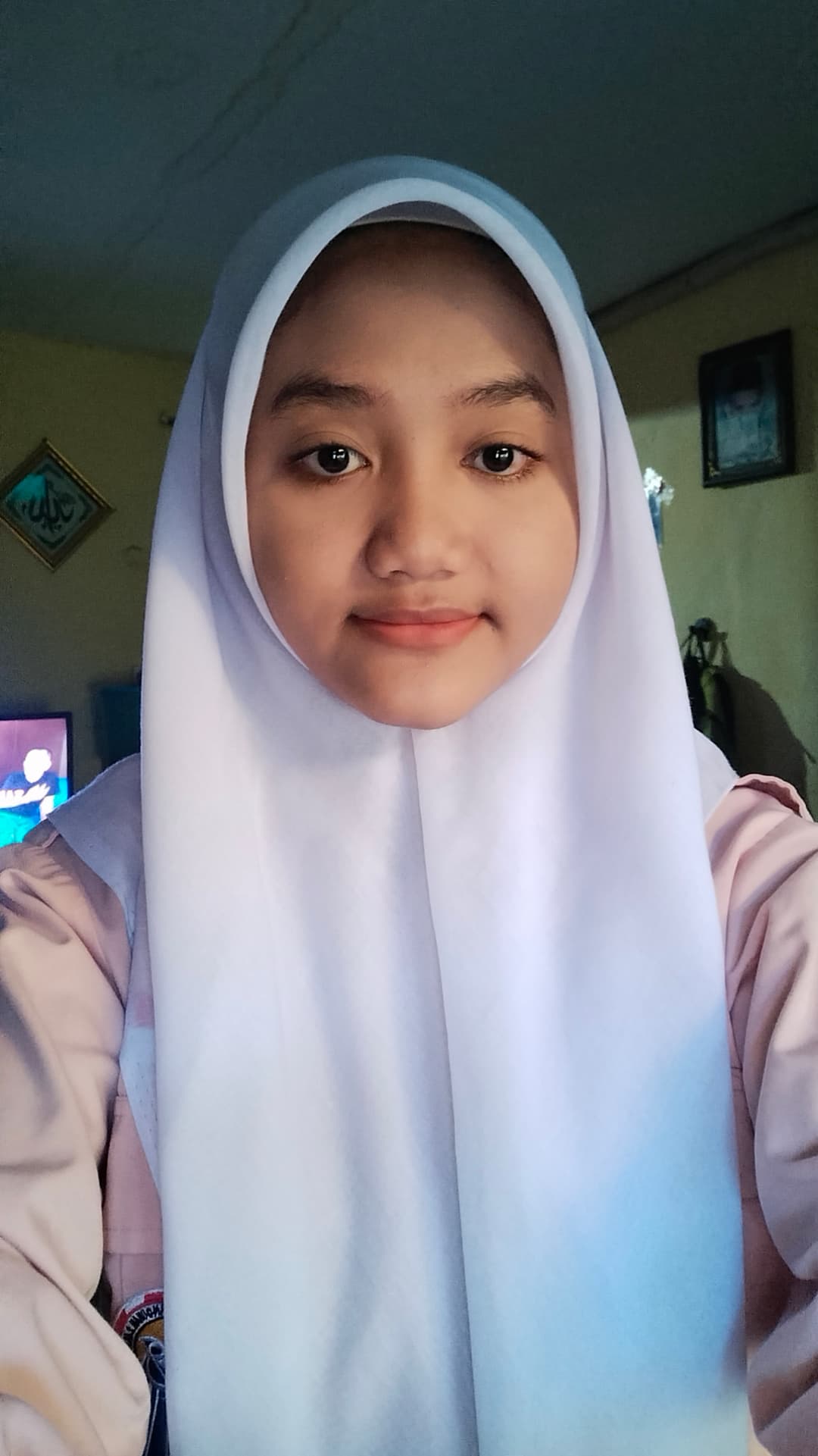 Descriptive Alt Text